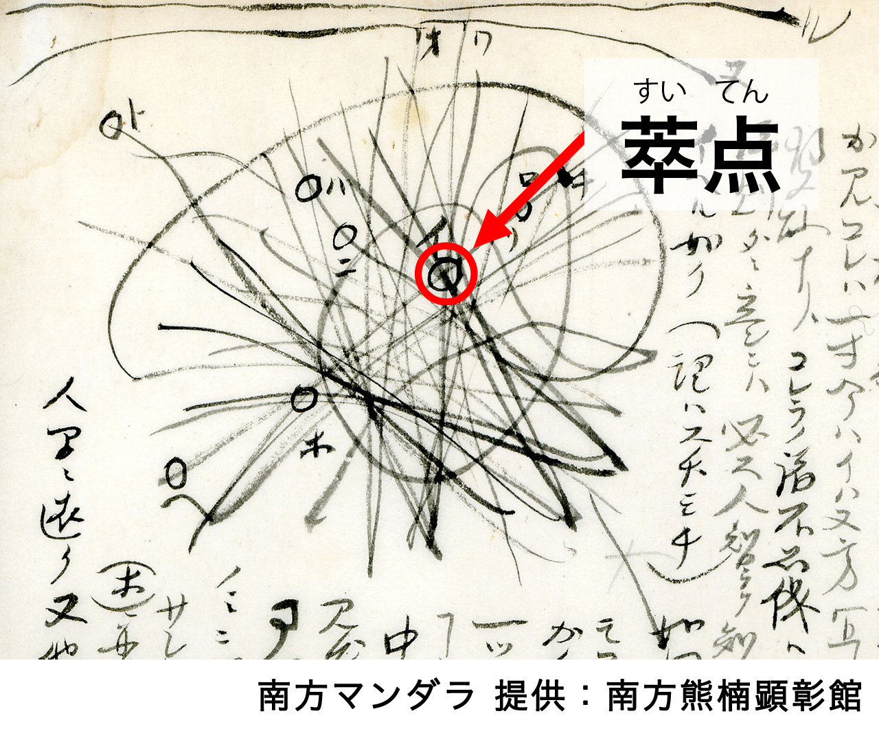 南方マンダラ