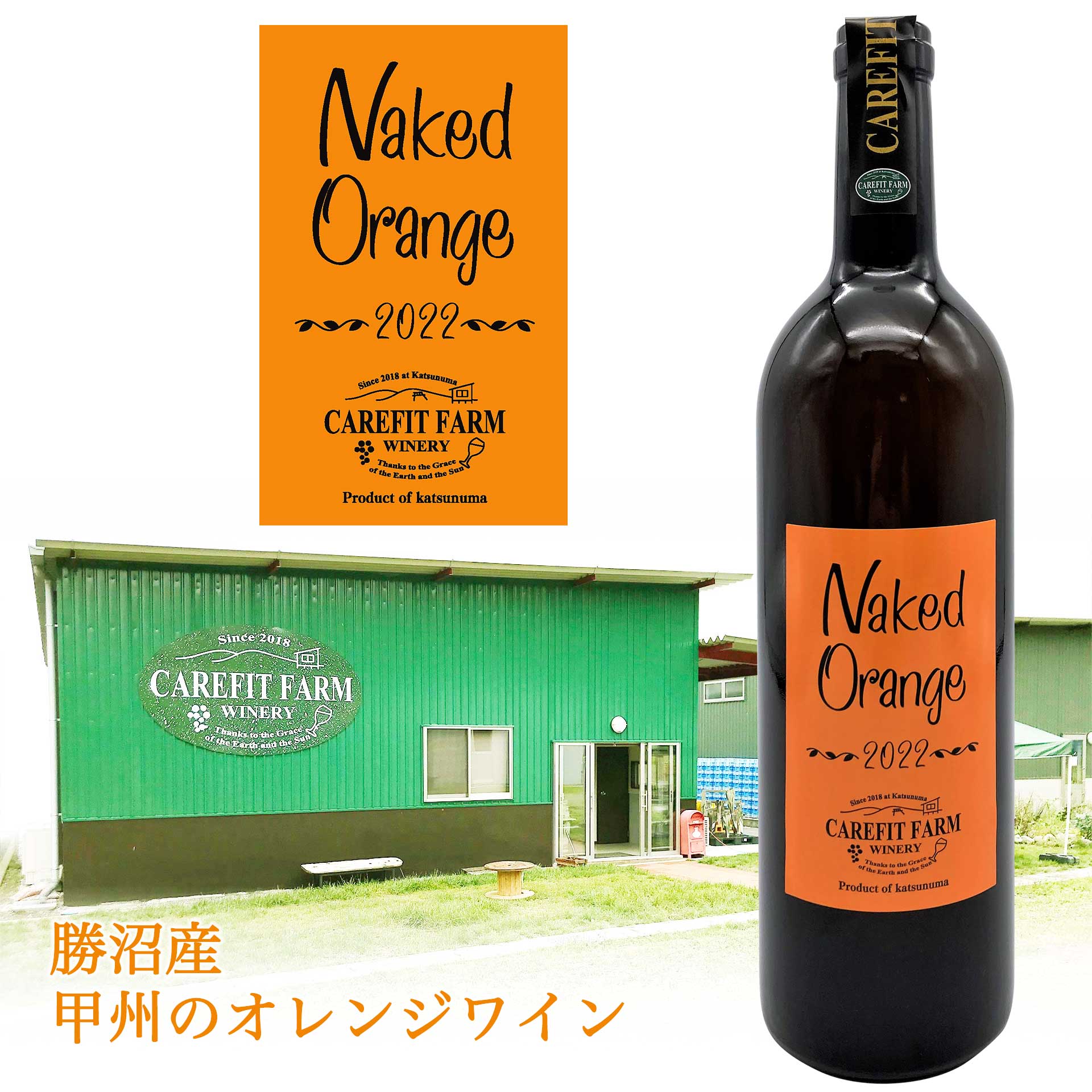 Naked Orange2022