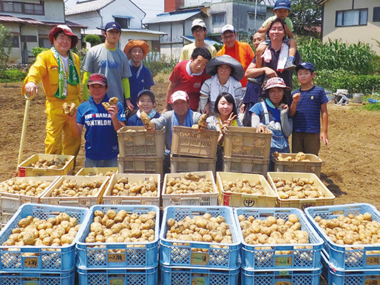7月 じゃがいも収穫