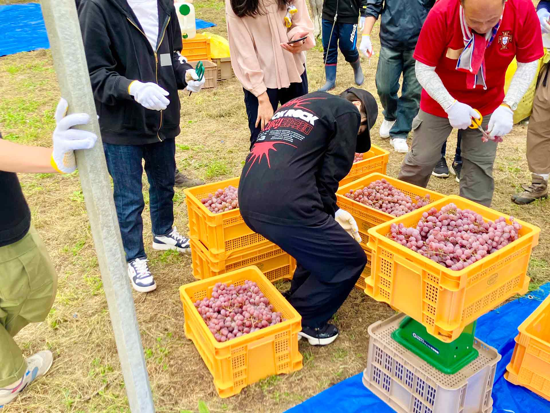 当日の雰囲気と学び
